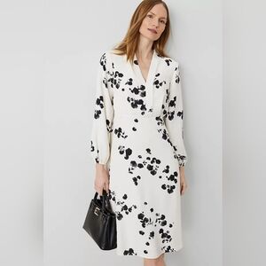 Ann Taylor Black and White Floral Long Sleeve Dress